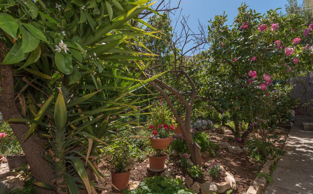 Apartment Mare Trogir
